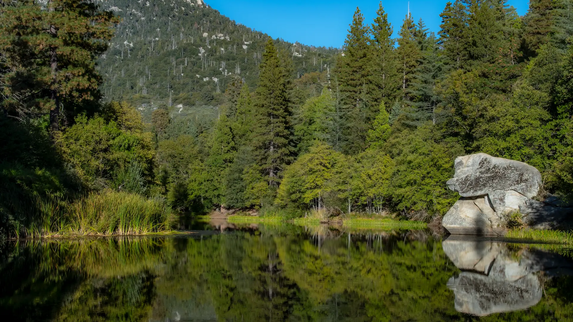 Beautiful mountain lake reflection at Fulmor Lake in Idyllwild, CA - Twin Pines Brightwork service area